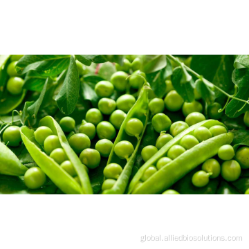Plant Extract Peptides High purity Pea peptide Factory